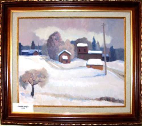 Kimmo Trogen 480 € m001 